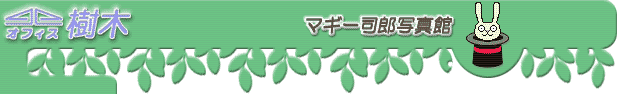 �}�M�[�i�Y�ʐ^��